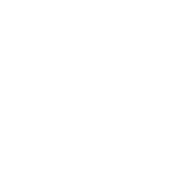 Vinzea Logo